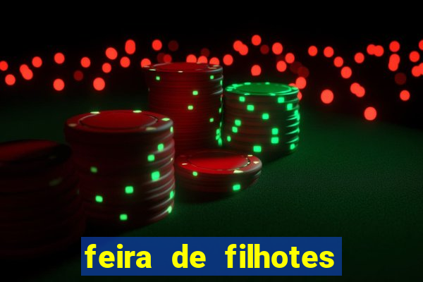 feira de filhotes porto alegre